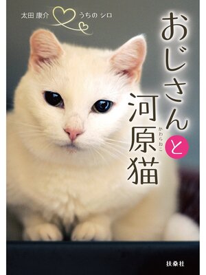 cover image of おじさんと河原猫
